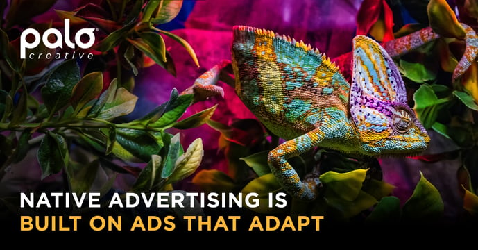 Palo.26 Blog 20 - Native Marketing_Blog
