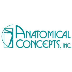 anatomical-concepts-inc